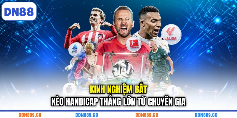 Kinh nghiệm bắt kèo Handicap thắng lớn từ chuyên gia